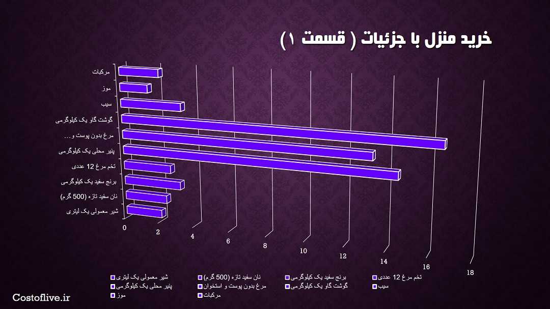 جزئیات مایحتاج منزل برای یک ماه زندگی در شهر تورنتو کانادا قسمت اول