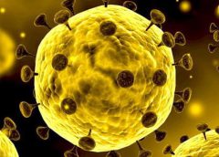 شرایط جدید ترکیه برای مسافرت + ویروس کرونا